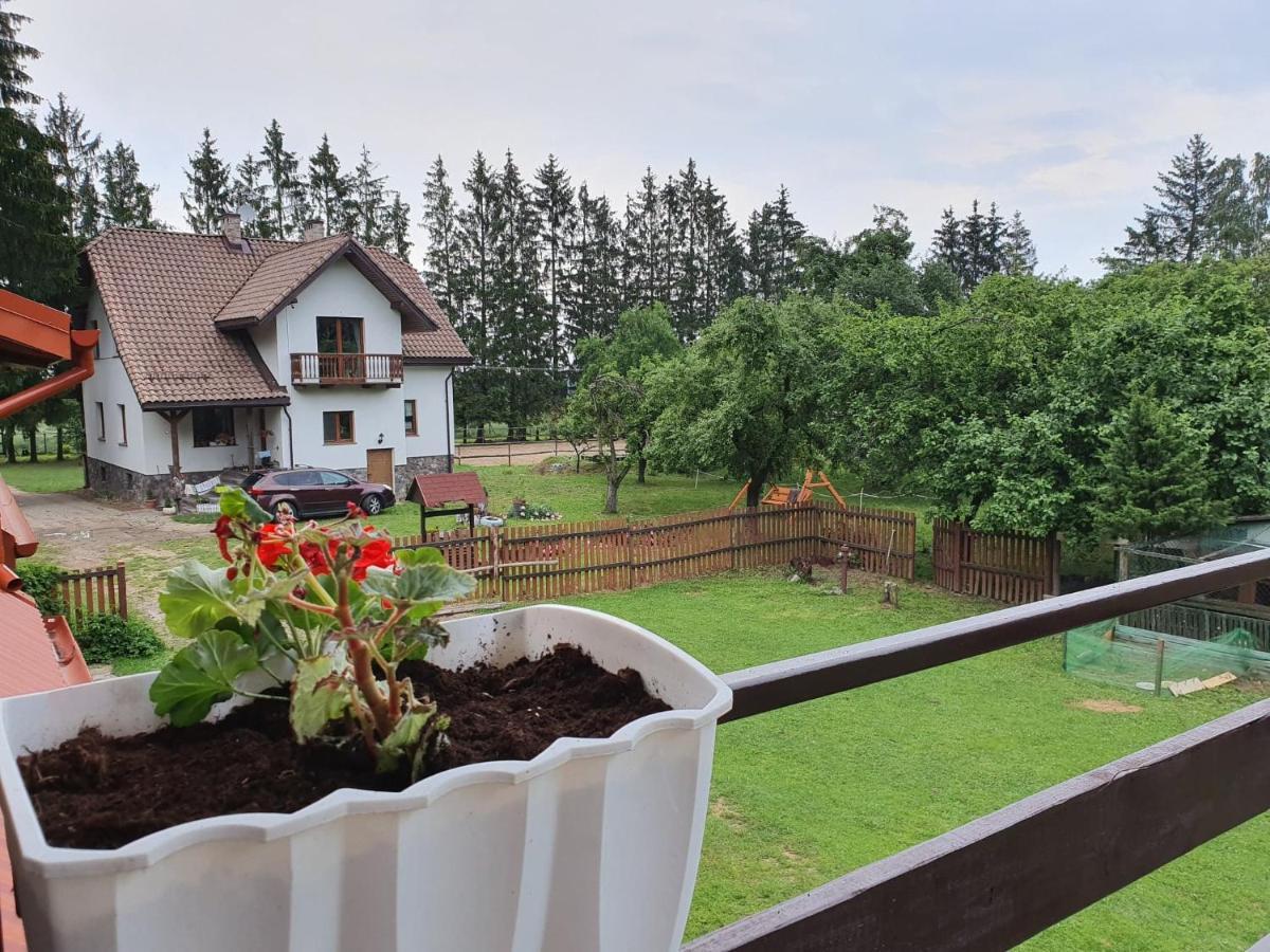Kurnik Polski Agroturystyka Tykocin Bagian luar foto