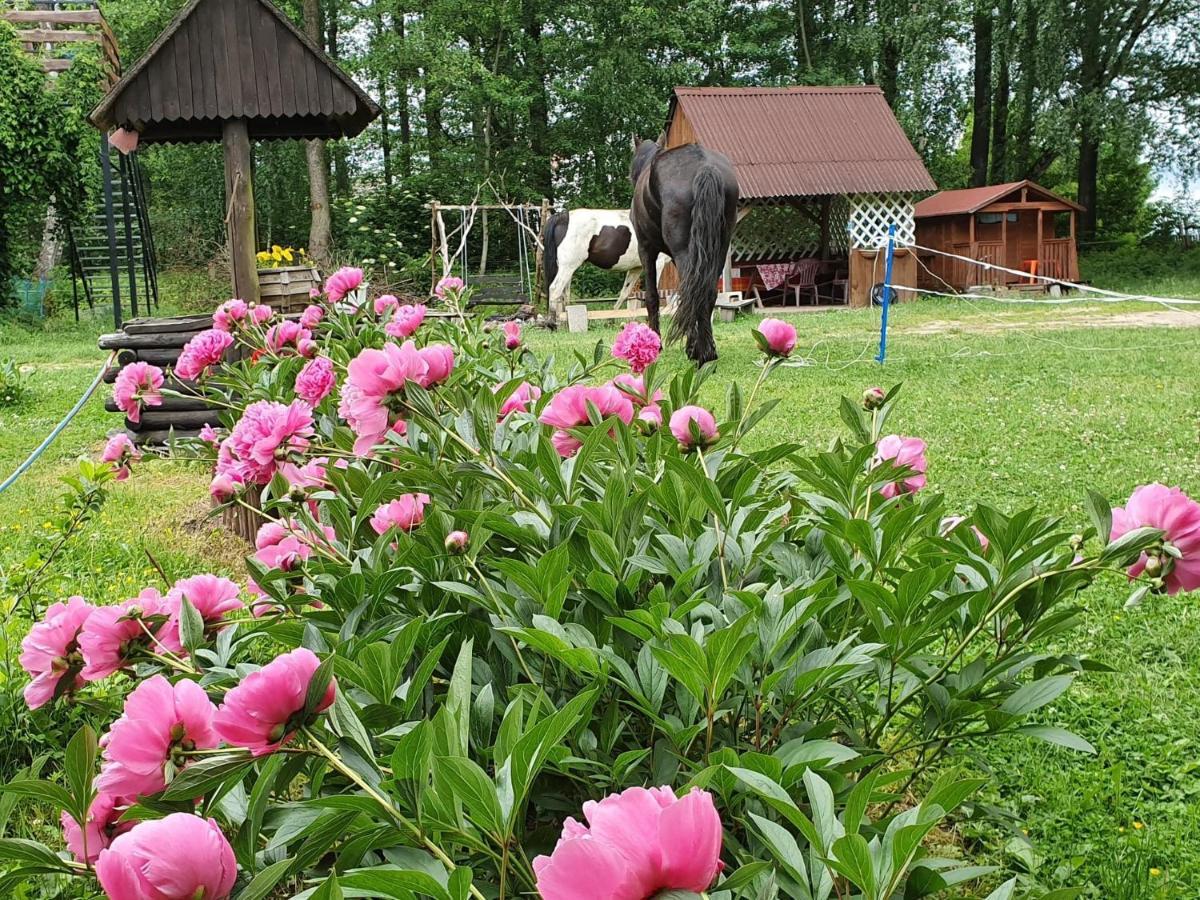 Kurnik Polski Agroturystyka Tykocin Bagian luar foto