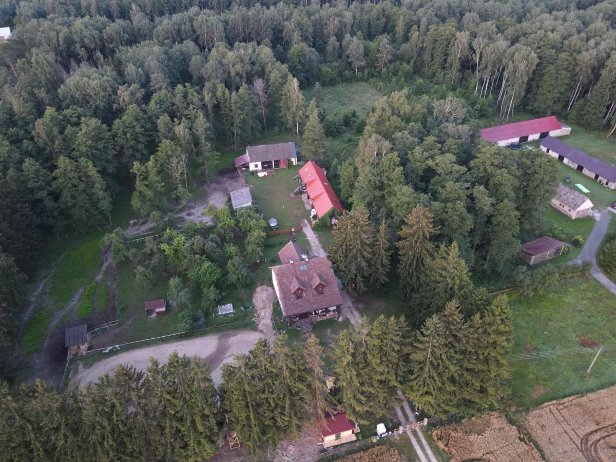 Kurnik Polski Agroturystyka Tykocin Bagian luar foto