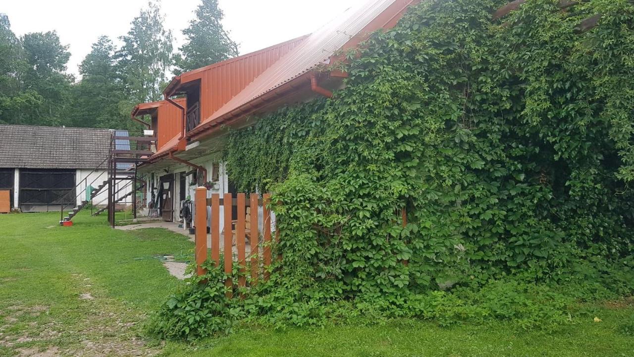 Kurnik Polski Agroturystyka Tykocin Bagian luar foto