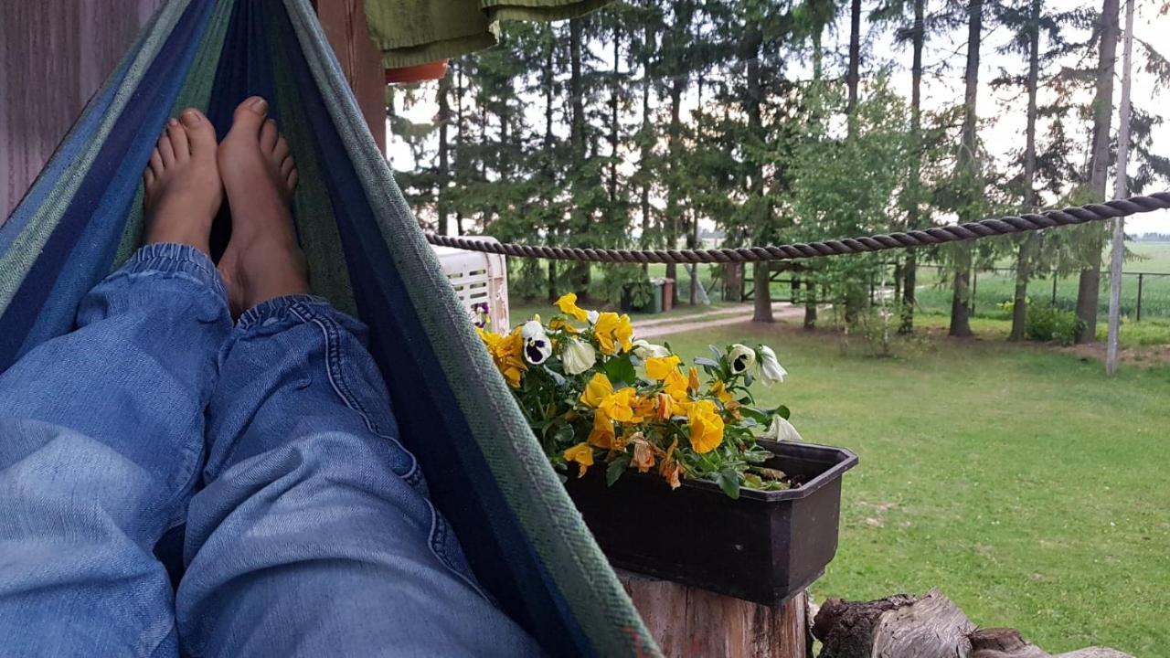 Kurnik Polski Agroturystyka Tykocin Bagian luar foto