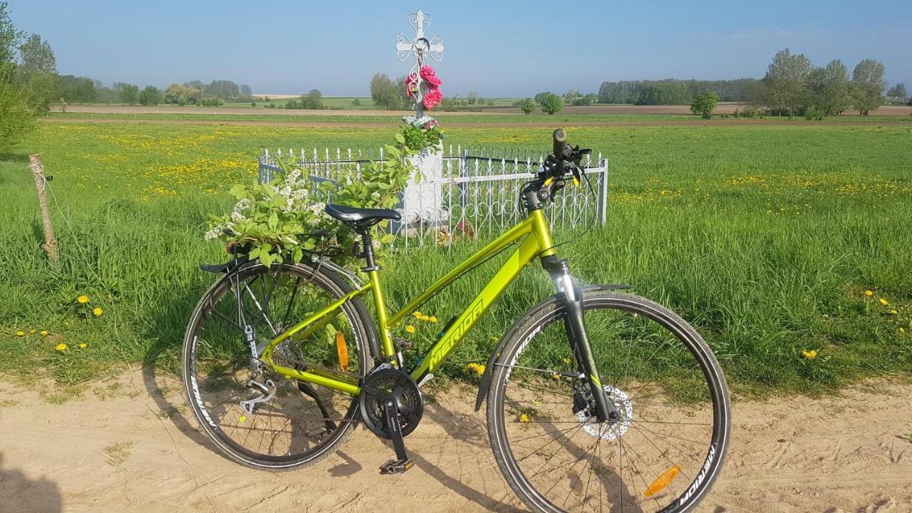 Kurnik Polski Agroturystyka Tykocin Bagian luar foto