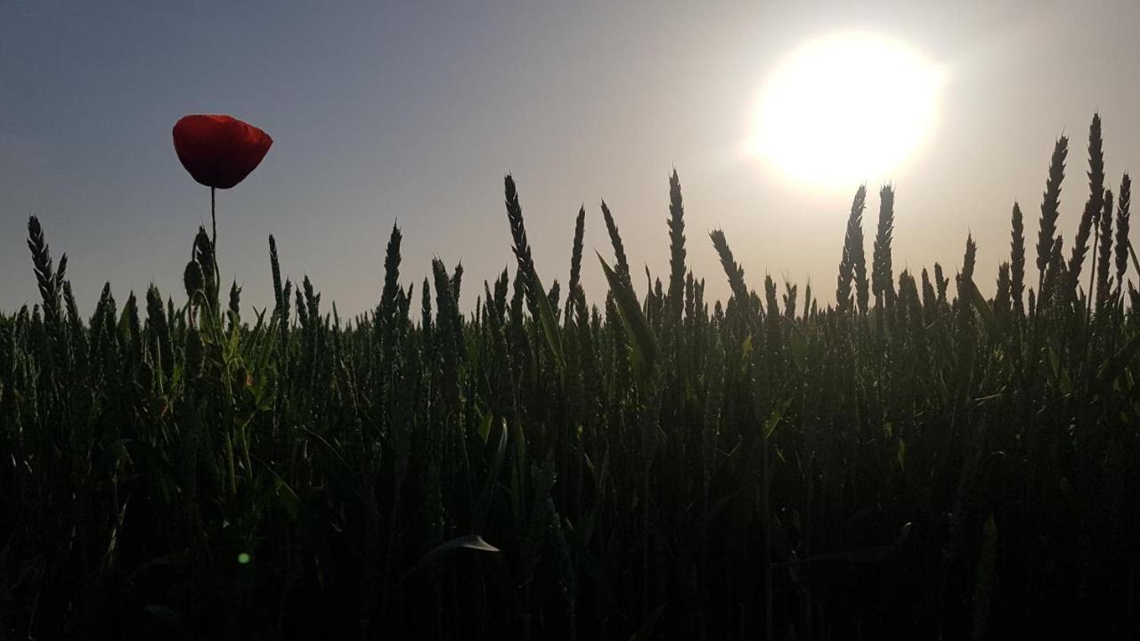 Kurnik Polski Agroturystyka Tykocin Bagian luar foto