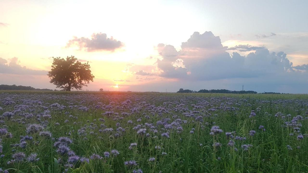 Kurnik Polski Agroturystyka Tykocin Bagian luar foto