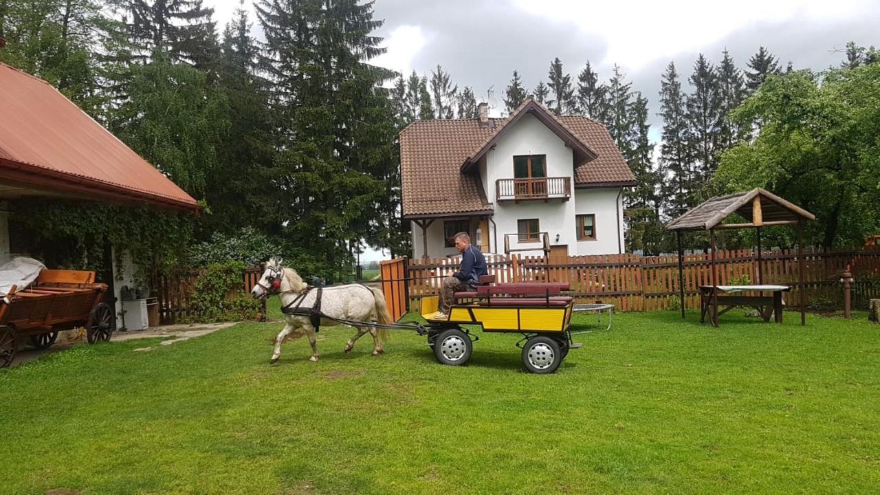 Kurnik Polski Agroturystyka Tykocin Bagian luar foto