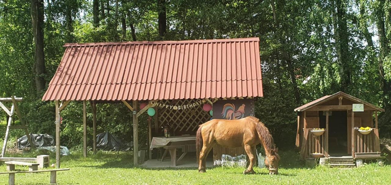 Kurnik Polski Agroturystyka Tykocin Bagian luar foto