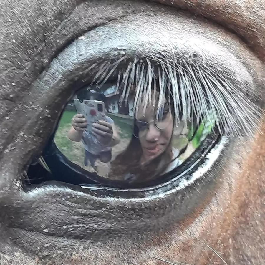 Kurnik Polski Agroturystyka Tykocin Bagian luar foto
